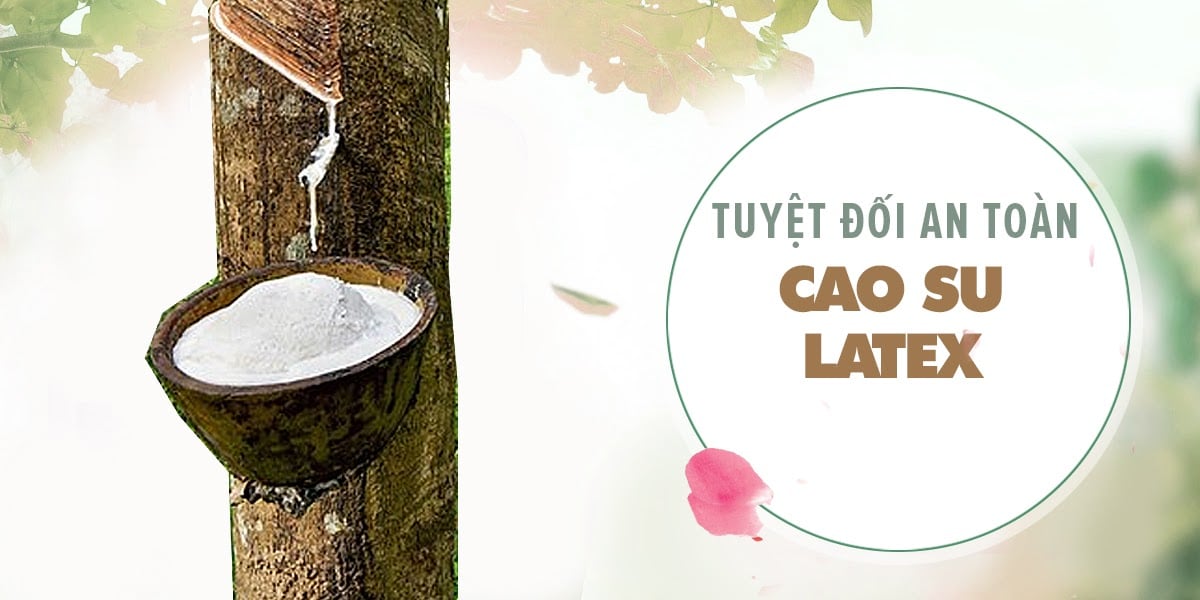 Bao Cao Su Quinn Nude Fit Mỏng Nhẹ, Chống Tuột, Hộp 12 Cái