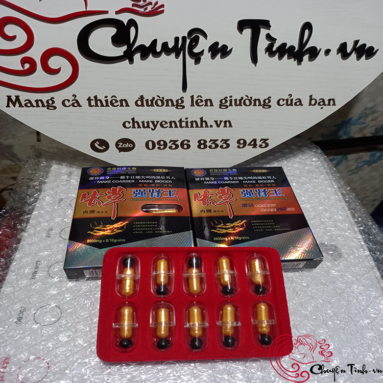 Đông trùng hạ thảo Kim Sơn Tây Tạng thượng hạng tăng sức khỏe