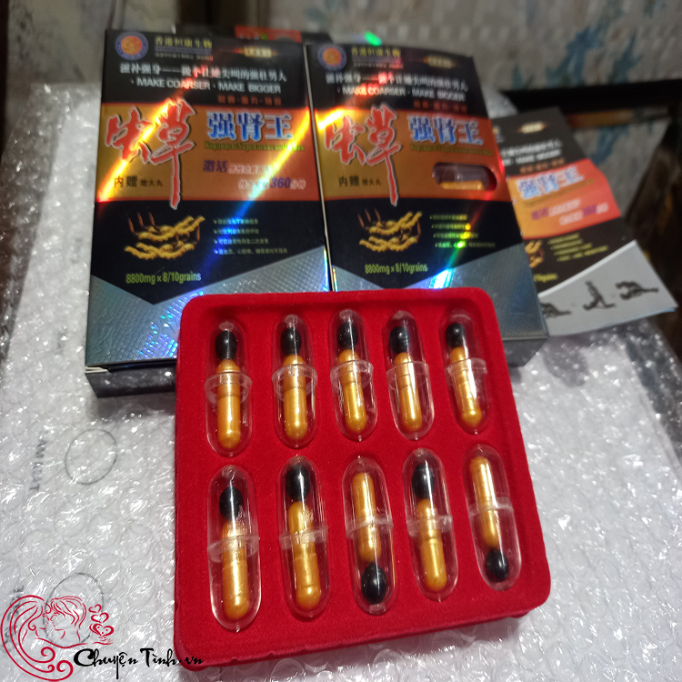 Đông trùng hạ thảo Kim Sơn Tây Tạng thượng hạng tăng sức khỏe