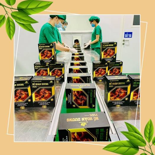 Thảo dược tăng sinh lý nam Bổ Hoàng Dương Plus uy tín