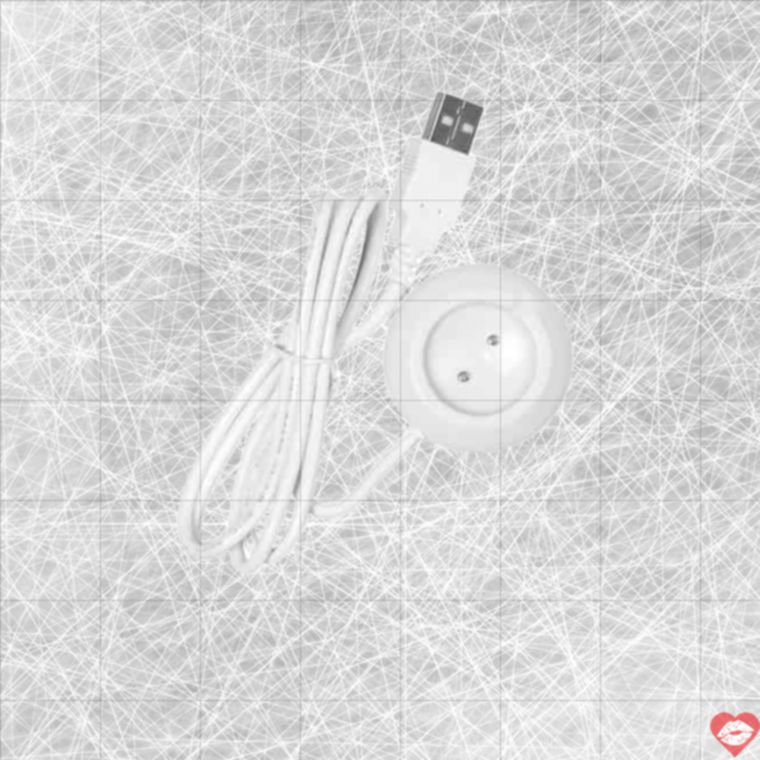 Dock Sạc Lovense Ambi USB Tiện Lợi Sạc Nhanh Bền Bỉ