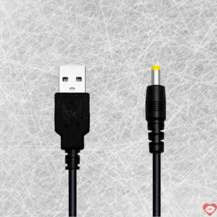 Cáp Sạc Lovense Domi 2 USB Đen Chính Hãng