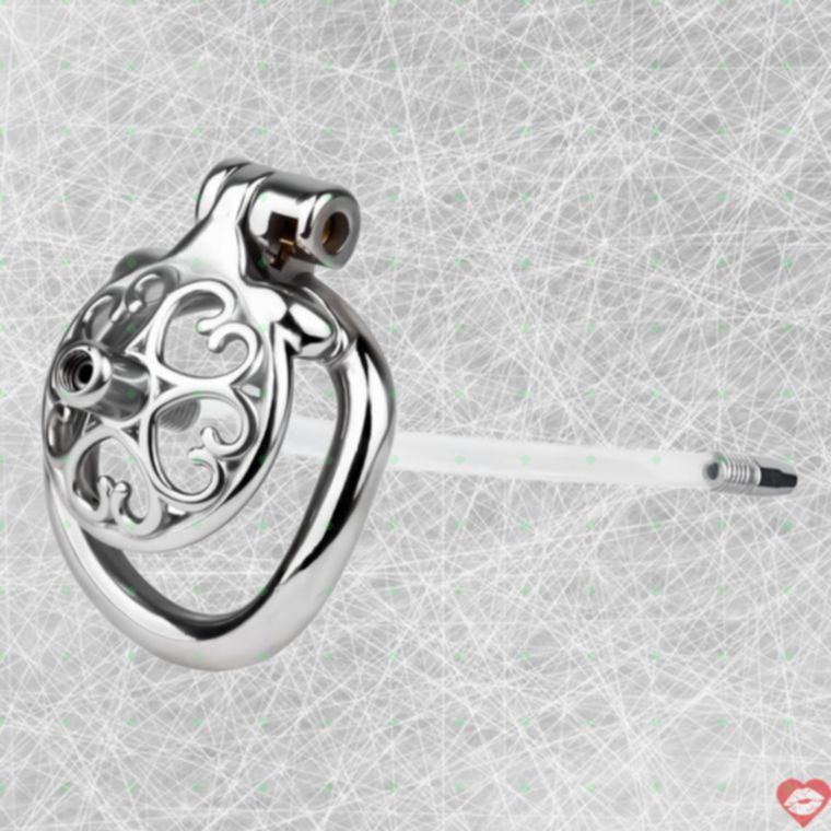FAAK Chastity Lock Thép Nam 276 Ống Tháo 45mm