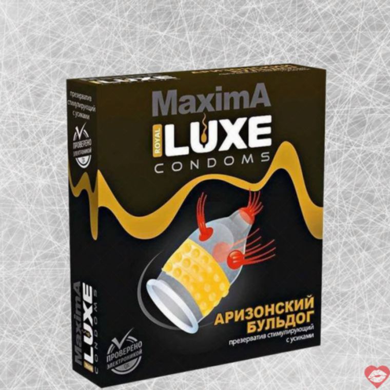 Luxe Bulldog Cao Su Gai 18cm Chấm Đỉnh Cao Thỏa 