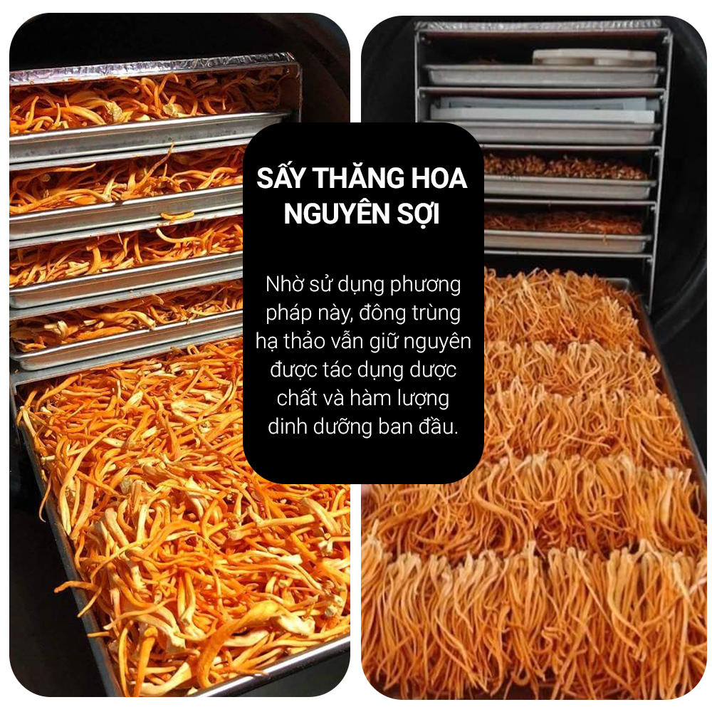  Review Đông trùng hạ thảo Toro - Sấy thăng hoa nguyên sợi cải thiện chức năng sinh lý - Hũ 10g giá tốt