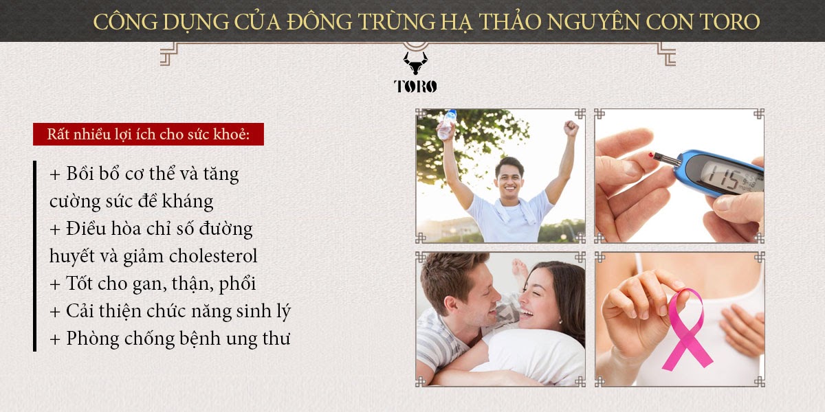  Shop bán Đông trùng hạ thảo cao cấp nguyên con - Tăng cường sinh lý bồi bổ cơ thể - 5g hàng xách tay